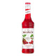 MONIN Raspberry Syrup