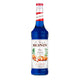 MONIN Blue Curacao Syrup