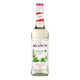 MONIN Mojito & Mint