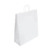 Large White Twisted Handle Paper Bags
